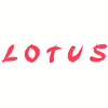 Lotus Chinese Food