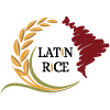 Latin Rice-avatar