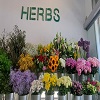 Floristería Herbs Balmes