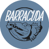 Barracuda-avatar