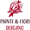 Piante & Fiori Dergano
