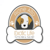 Exotic Life Rione Alto