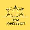 Piante e Fiori di Nino-avatar