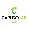Caruso Lab