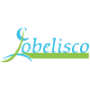 L'Obelisco Bar Ristorante Pizzeria-avatar