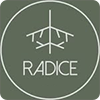 Radice-avatar
