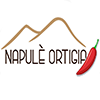 Pizzeria Napulé Ortigia-avatar